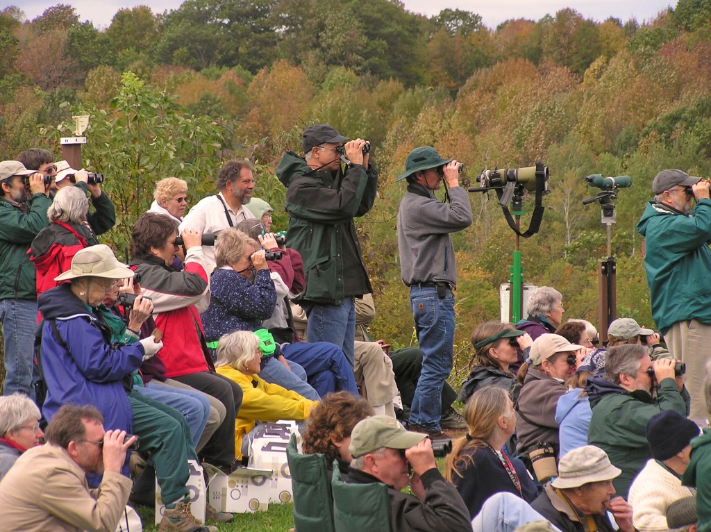 hawk watchers